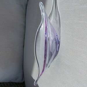 Neodymium glass dish